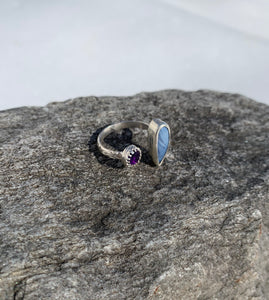 Double Purple Ring
